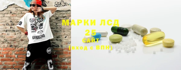 PSILOCYBIN Горно-Алтайск