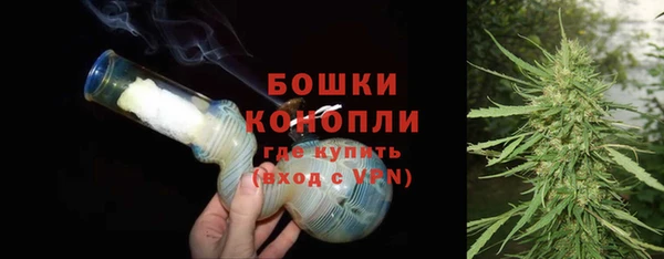 PSILOCYBIN Горно-Алтайск