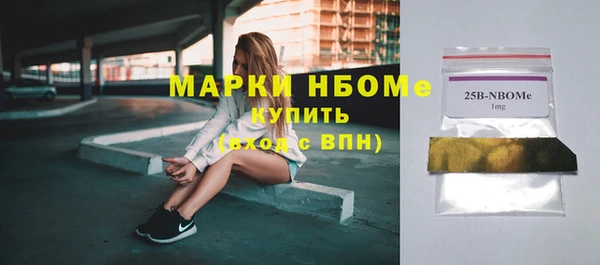 стаф Чердынь