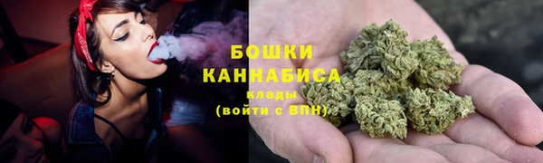PSILOCYBIN Горно-Алтайск