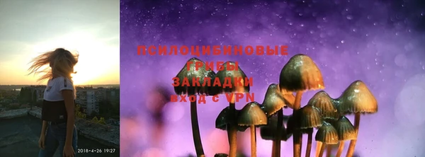 PSILOCYBIN Горно-Алтайск