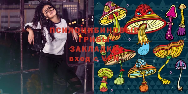 PSILOCYBIN Горно-Алтайск