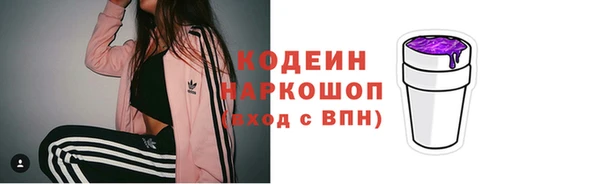 PSILOCYBIN Горно-Алтайск