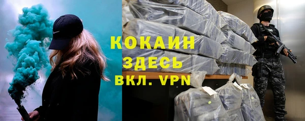 винт Шали